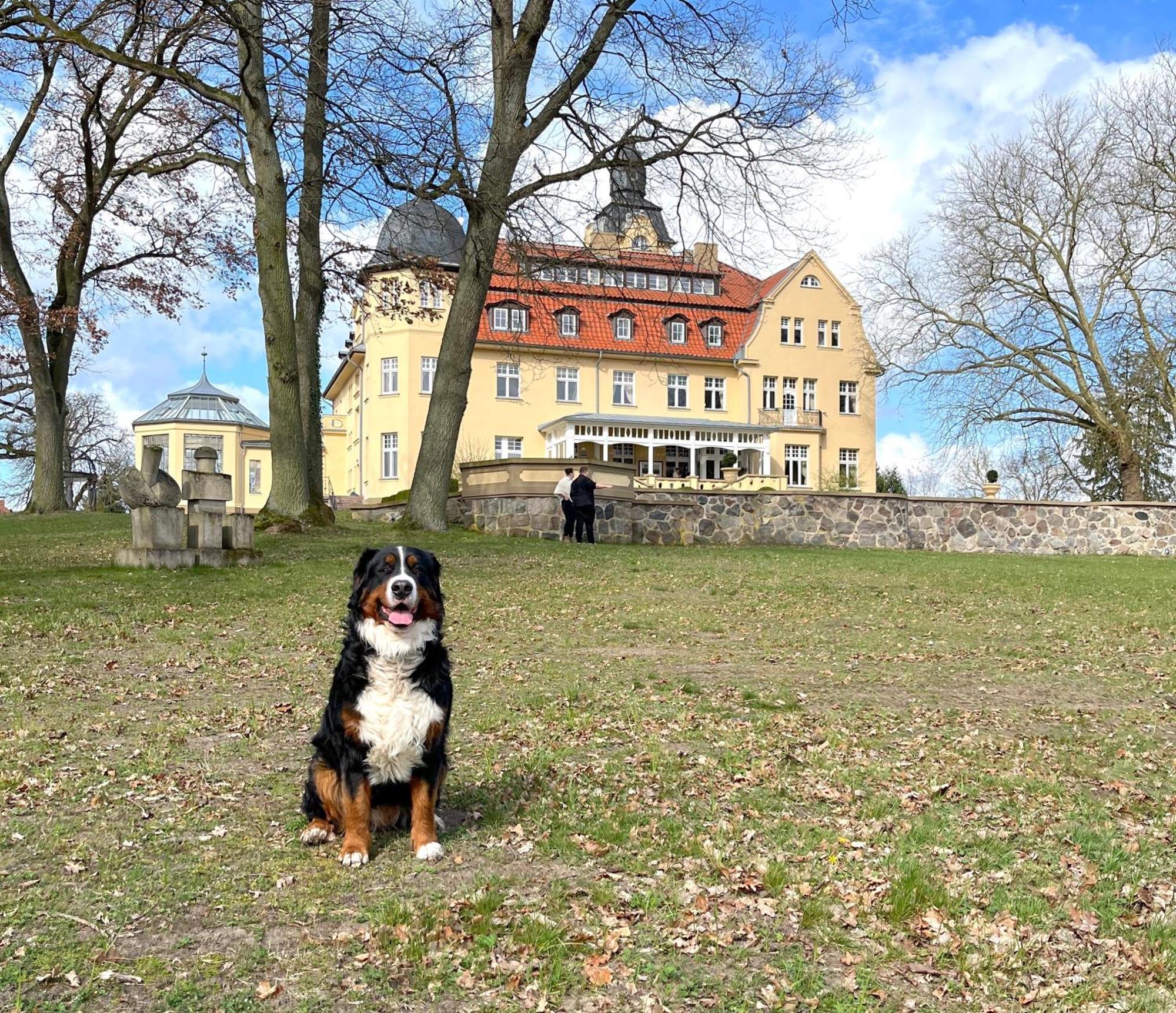Bernsteinschloss Wendorf  Exteriör bild